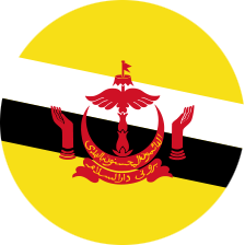 Brunei Flag