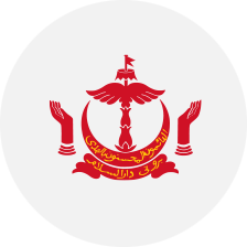Brunei Flag